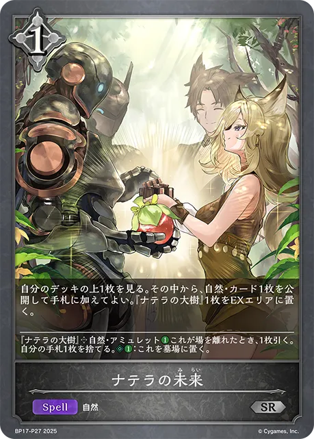 Naterra's Future