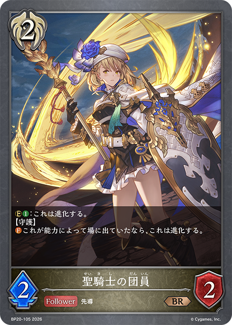 Knight of the Holy Order