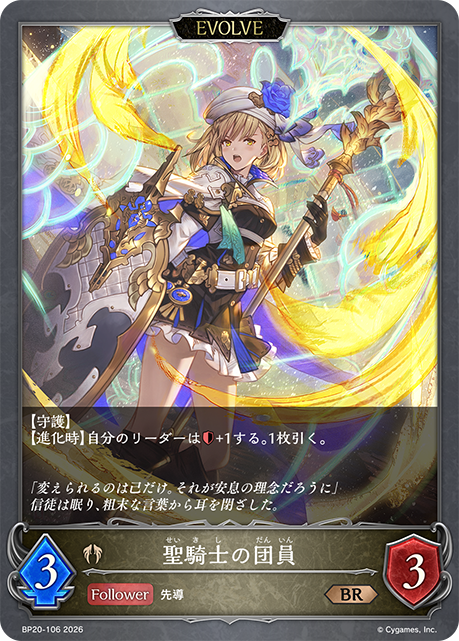 Knight of the Holy Order (Evolved)
