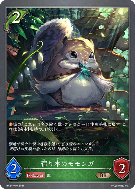 Flying Mistletoe Squirrel