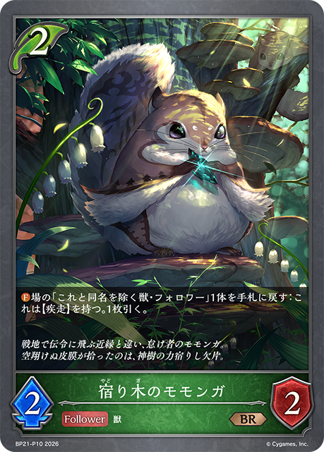 Flying Mistletoe Squirrel