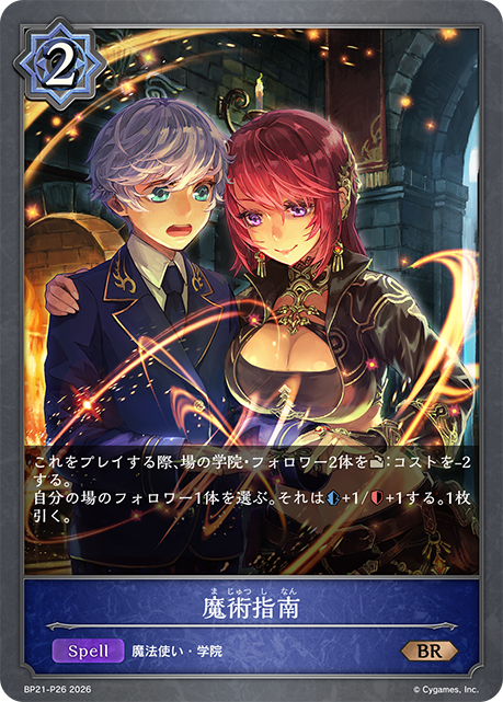 Arcane Instruction