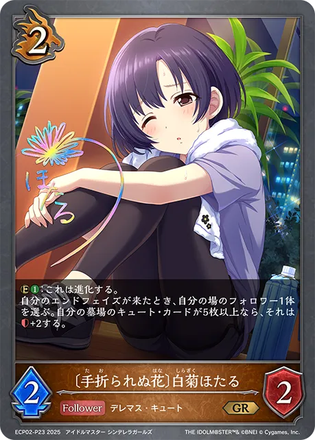 Hotaru Shiragiku [Unbreakable]