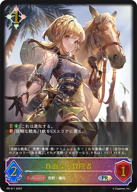 Quixotic Adventurer