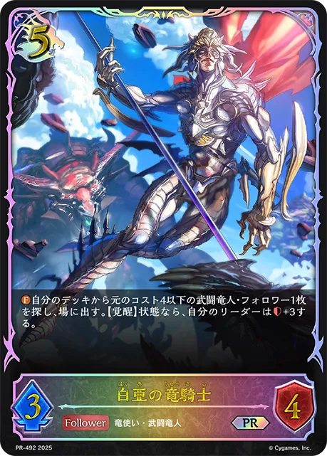 白亜の竜騎士