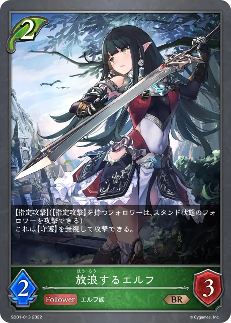 Elf Wanderer